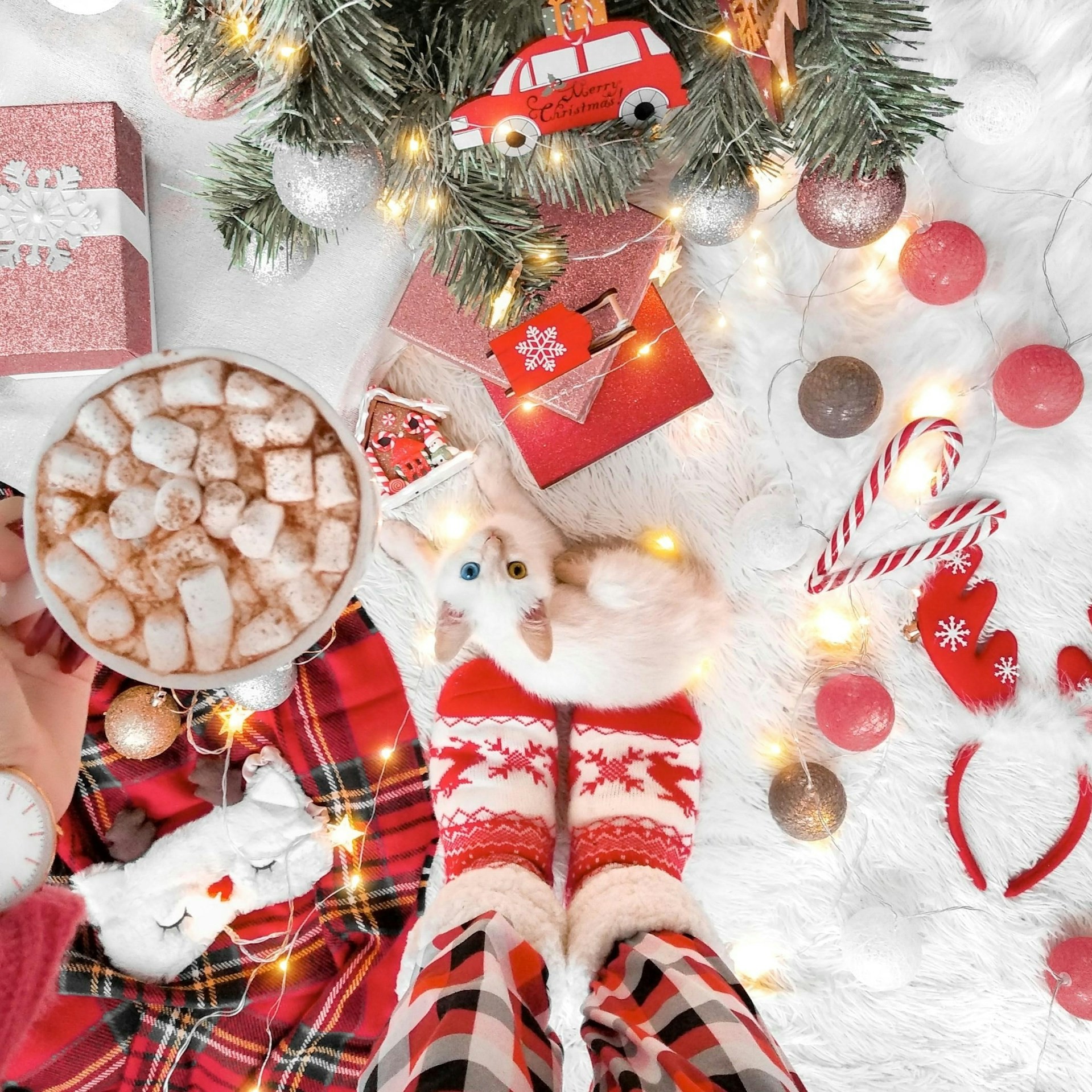 marshmallow-and-christmas-gift-on-table